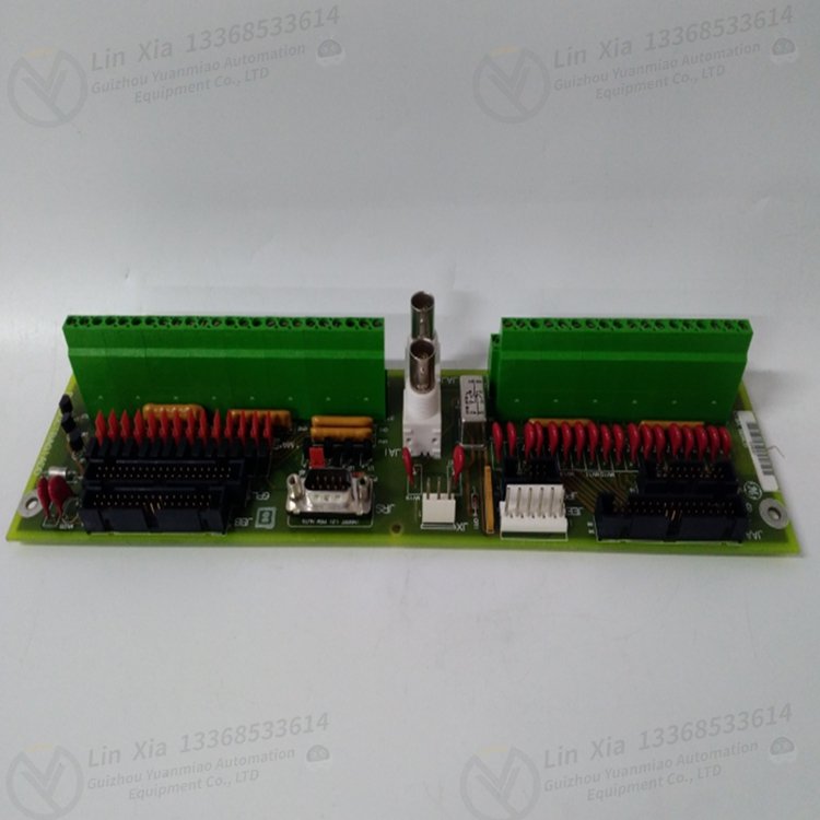 GE DS200DCFBG1BLC Power module